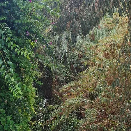 Mgrahamhouse Дом отдыха *