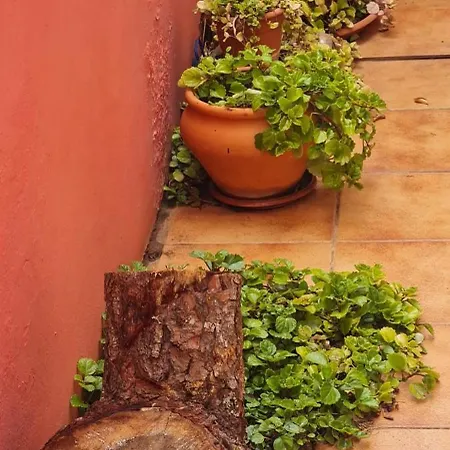 Casa de Férias Mgrahamhouse Tacoronte