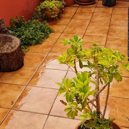 Casa de Férias Mgrahamhouse *