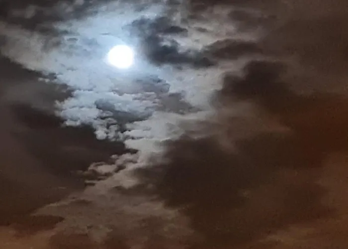 Mgrahamhouse * タコロンテ