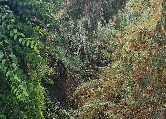 Mgrahamhouse 別荘 *