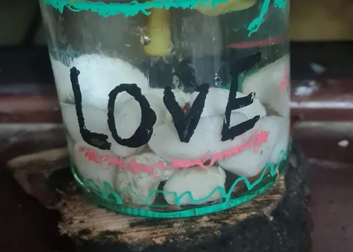 Mgrahamhouse タコロンテ