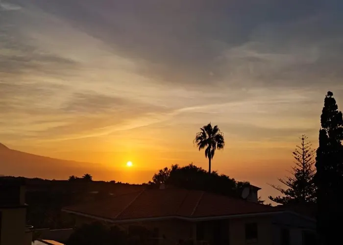 Mgrahamhouse タコロンテ