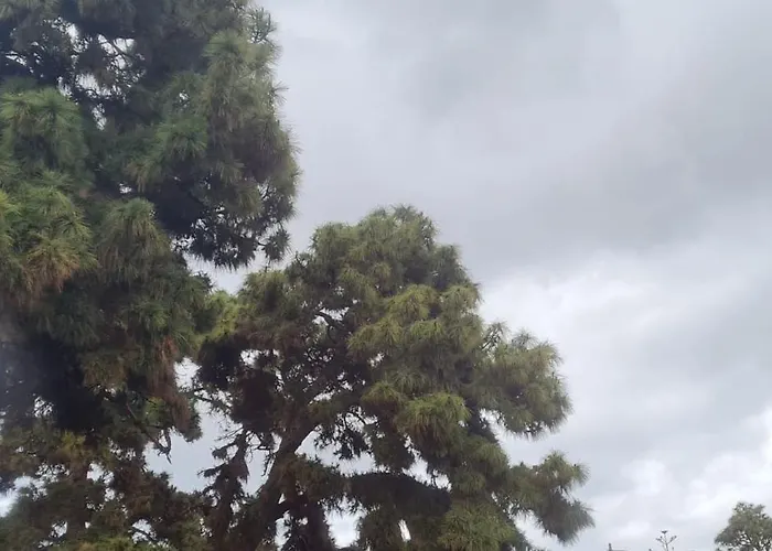 別荘 Mgrahamhouse *