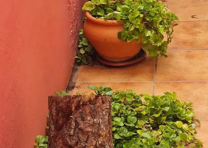 別荘 Mgrahamhouse タコロンテ